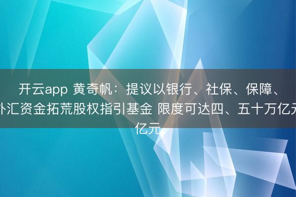 开云app 黄奇帆：提议以银行、社保、保障、外汇资金拓荒股权指引基金 限度可达四、五十万亿元
