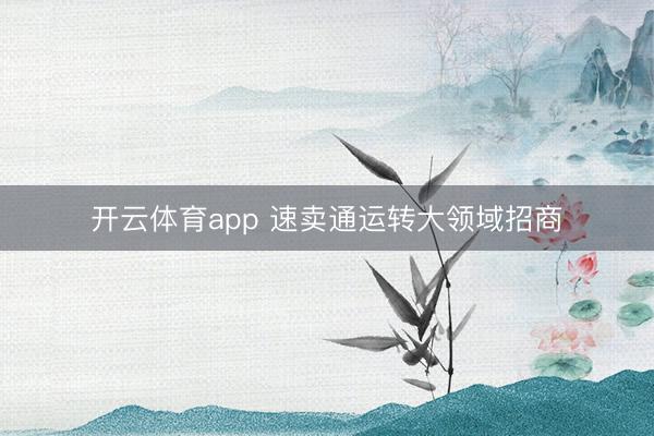 开云体育app 速卖通运转大领域招商