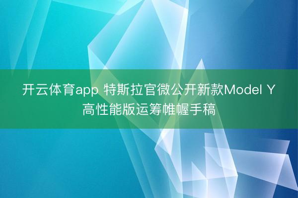 开云体育app 特斯拉官微公开新款Model Y高性能版运筹帷幄手稿
