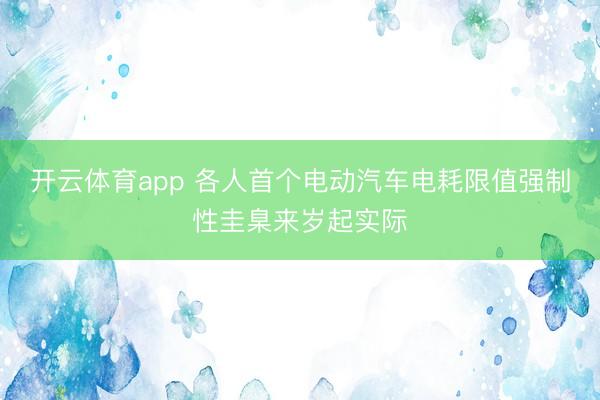 开云体育app 各人首个电动汽车电耗限值强制性圭臬来岁起实际