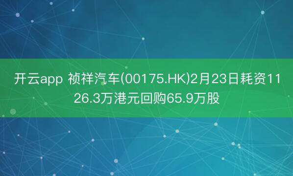 开云app 祯祥汽车(00175.HK)2月23日耗资1126.3万港元回购65.9万股