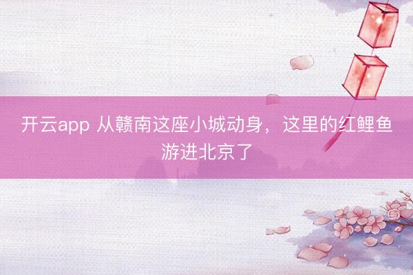 开云app 从赣南这座小城动身，这里的红鲤鱼游进北京了