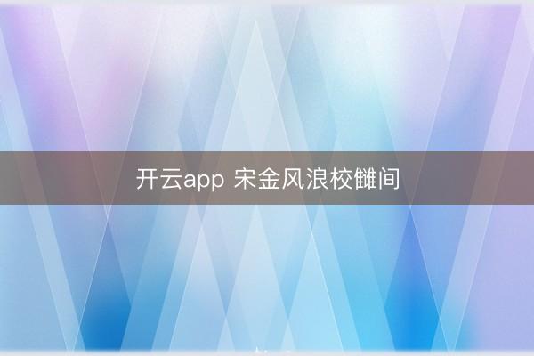开云app 宋金风浪校雠间