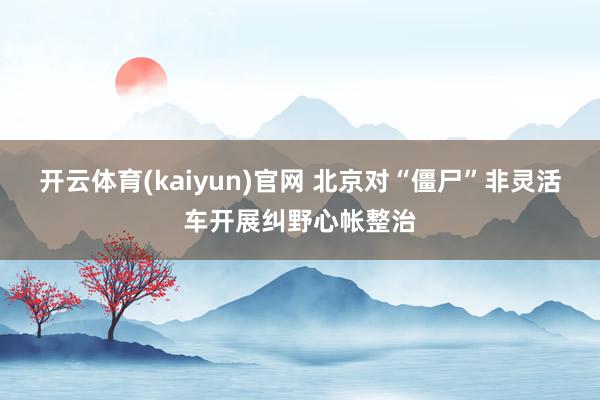 开云体育(kaiyun)官网 北京对“僵尸”非灵活车开展纠野心帐整治