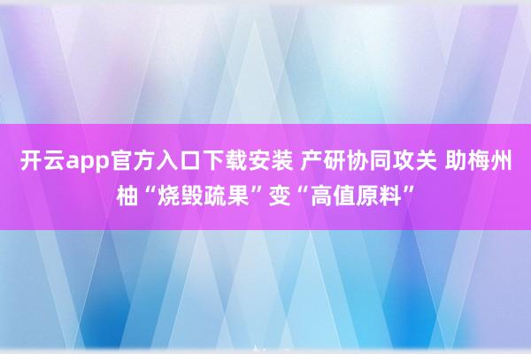 开云app官方入口下载安装 产研协同攻关 助梅州柚“烧毁疏果”变“高值原料”