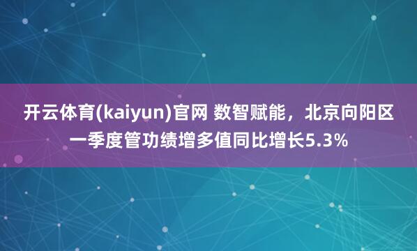 开云体育(kaiyun)官网 数智赋能，北京向阳区一季度管功绩增多值同比增长5.3%