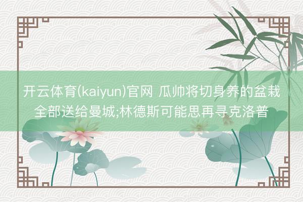 开云体育(kaiyun)官网 瓜帅将切身养的盆栽全部送给曼城;林德斯可能思再寻克洛普